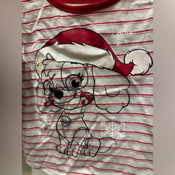 Nickelodeon 2T Paw Patrol Skye Christmas Red Gray Long Sleeve Gender Neutral Top - Picture 2 of 4